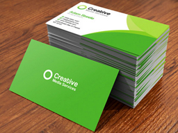 Card Visit 01
