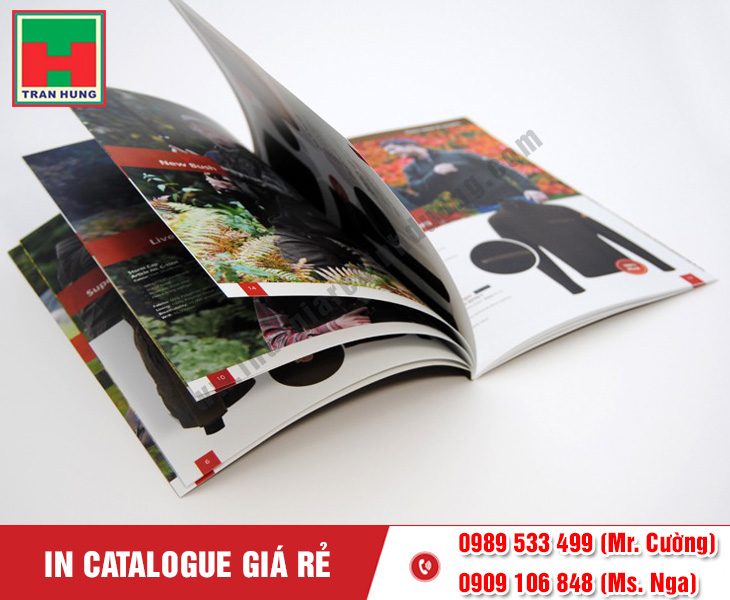 in-catalogue-binh-duong-2