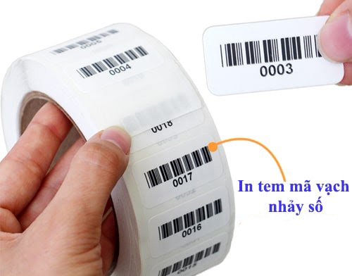 in-tem-ma-vach-so-nhay