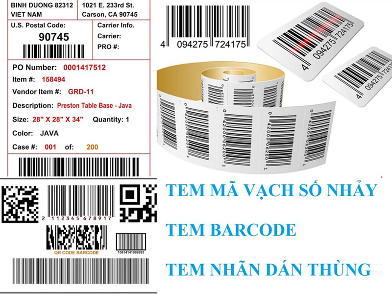 in-tem-ma-vach-gia-re
