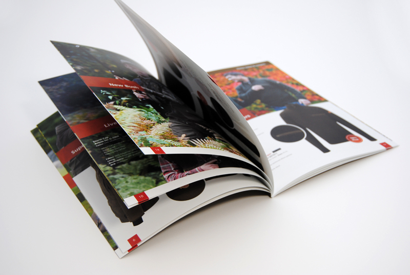 Catalogue 06